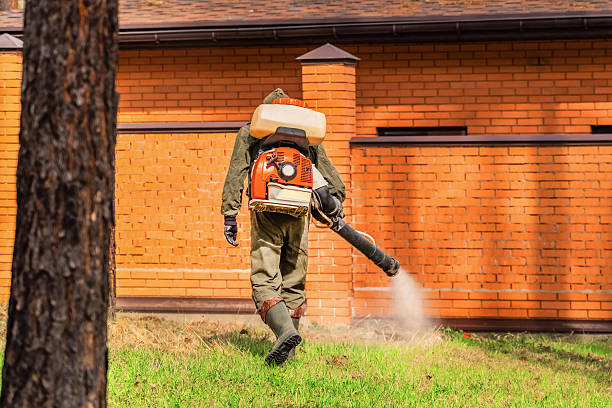 Bed Bug Clearance Verification and Documentation in Orange